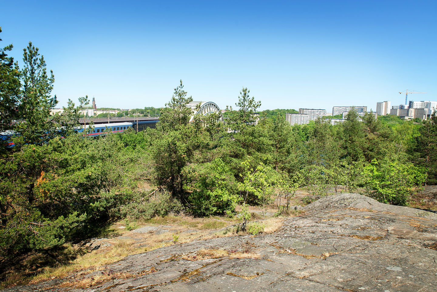 Utsikt i västra delen. Foto: Johan Pontén