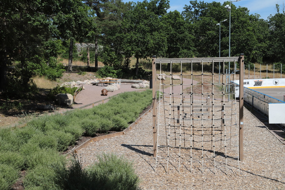 Outdoor exercise – fresh air, freedom and physical strength