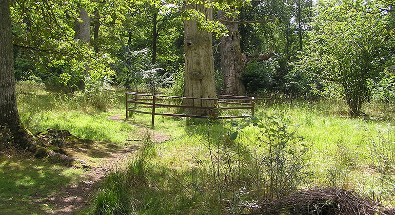 Fotograf: Charlotta Larsson