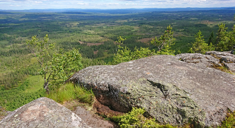 Utsikten från Lybergsgnupen kan under vackra dagar nå ända bort till horisonten.