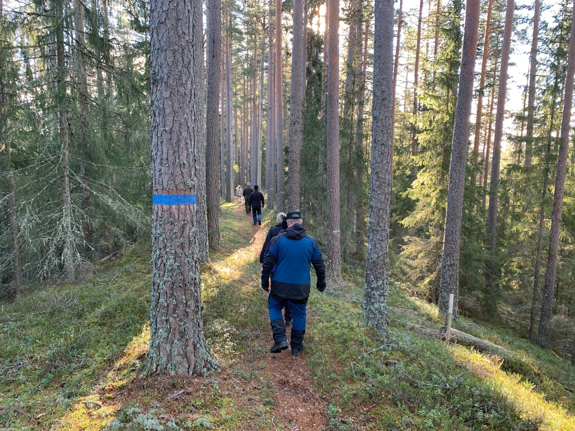 Vandring på Rågåsen