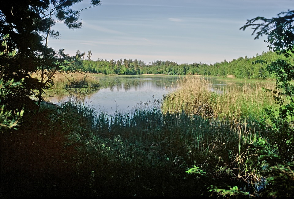 Vy över sjön Trehörningen.