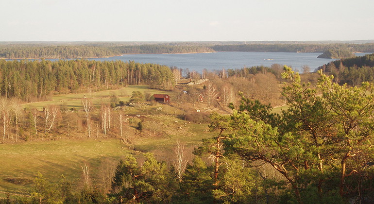 Utsikt från Fruberget