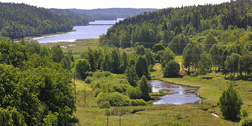 Flemingsbergsskogens naturreservat – alltid nära den stora vildmarken