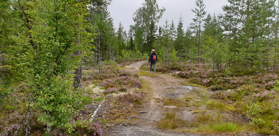 Gå en tur till en fantastisk utkiksplats.