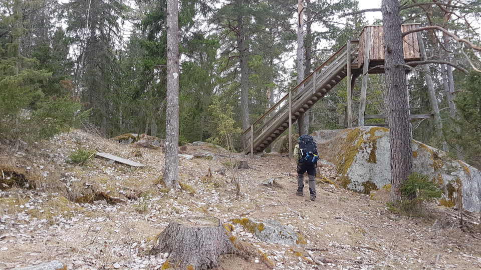 En person går uppför en backe till fågeltornet. En hög trappa leder till plattformen.