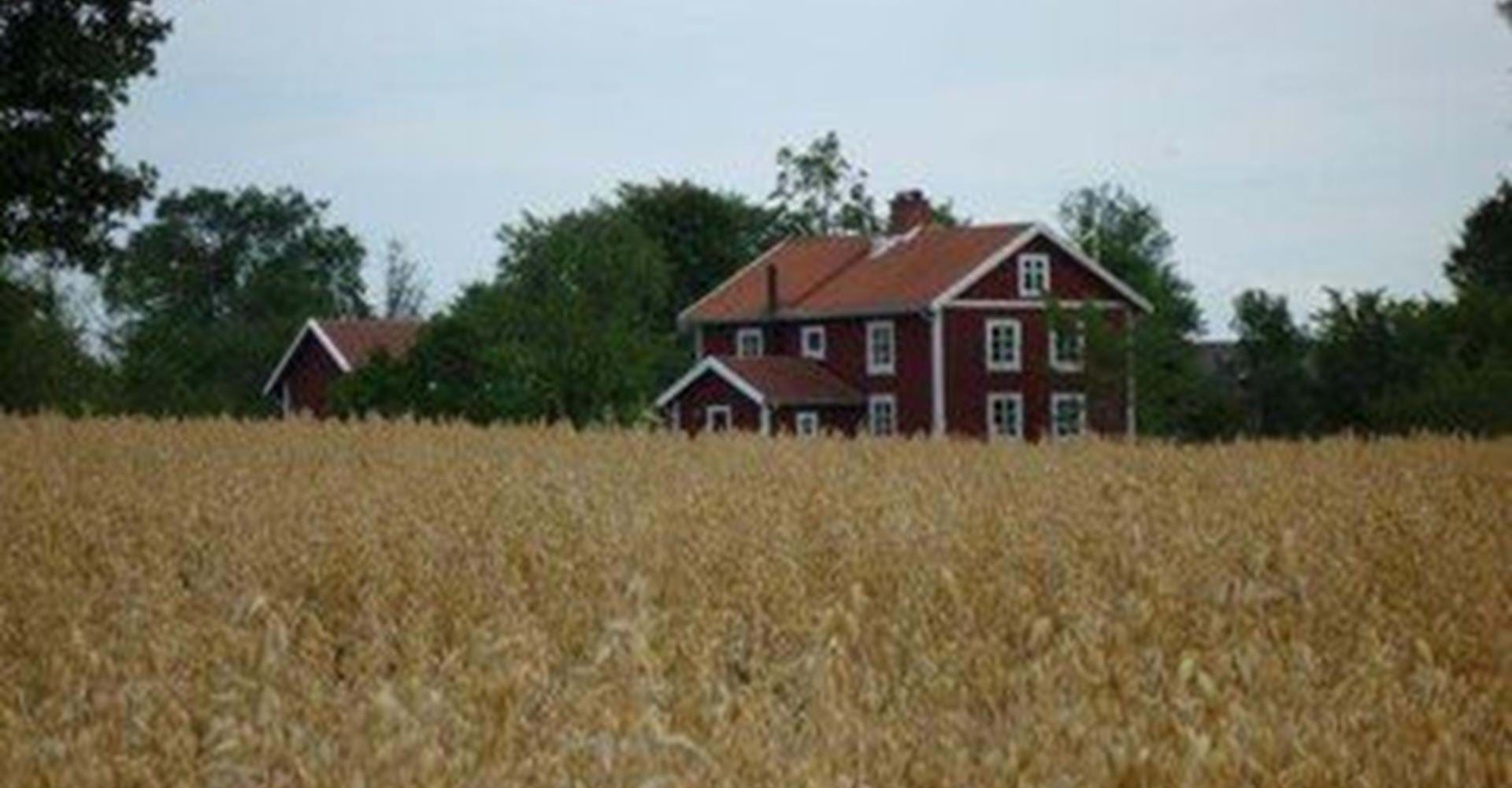 Björke Norrgård - Bo på Lantgård