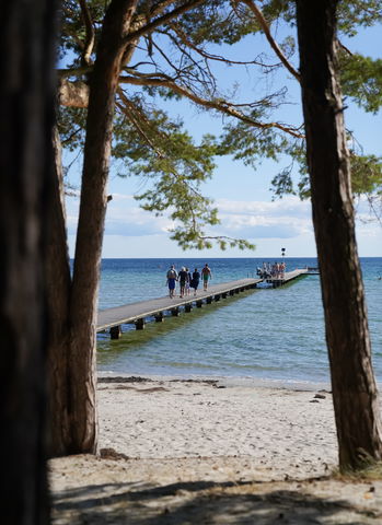 Strandhugg Hälleviks strand 