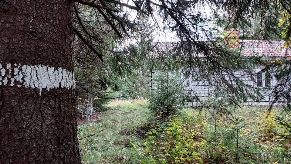 Kalvsvallen, Vallederna är märkt med vit färg. 
