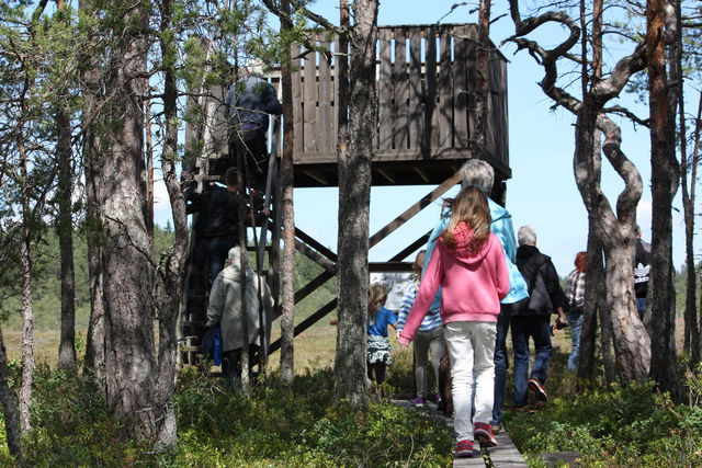 Smultronställe Stormossens Fågeltorn i Östa