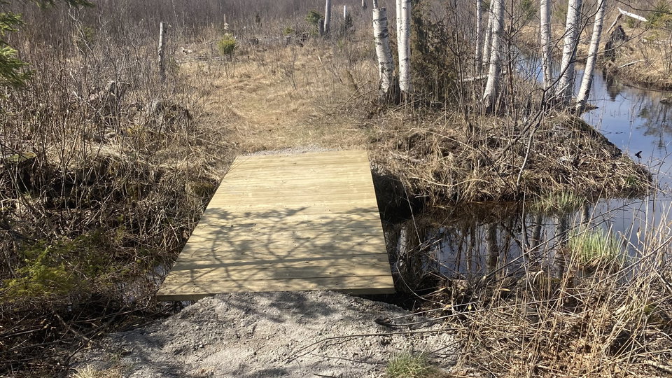 En träbro som går över ett dike