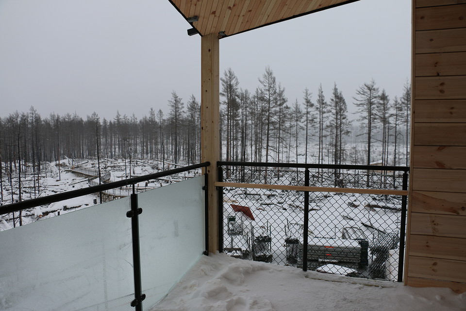 Vy utöver träden på Grävlingsberget.