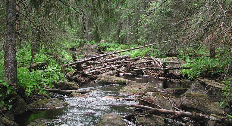 Trekanten, Naturreservat