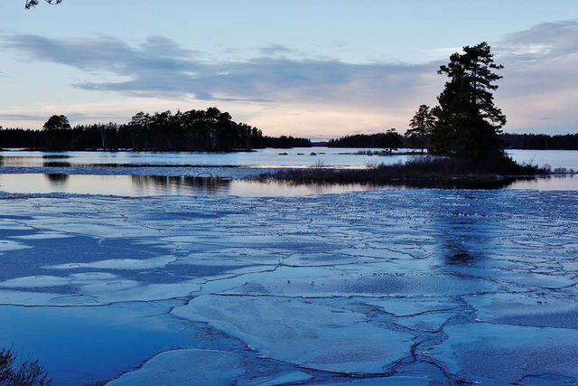 Allgunnens naturreservat