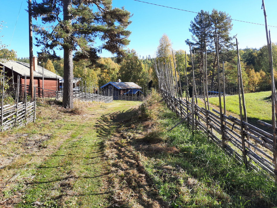 Fäbodslingan passerar genom idylliska Brattskuru