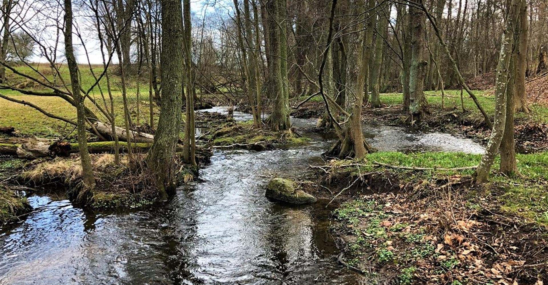 Ålebäcken. Etapp: Ödeshög-Omberg, Signaturleden. Ödeshög