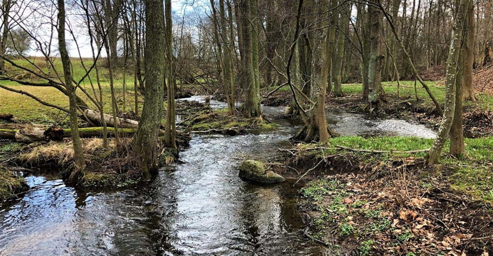 Ålebäcken. Etapp: Ödeshög-Omberg, Signaturleden. Ödeshög