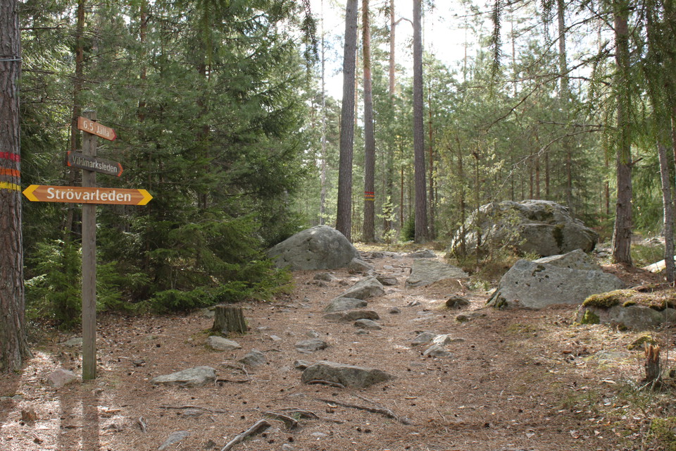 En vägvisare som pekar i olika riktningar står vid en bred och stenig stig som går genom tät skog.