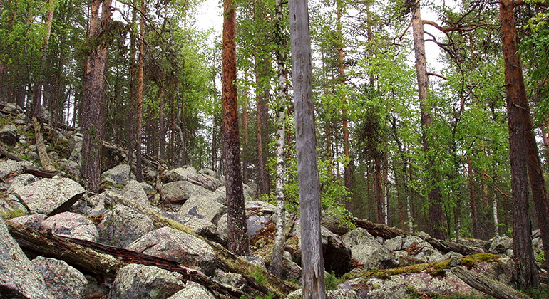 Gaddaberget.