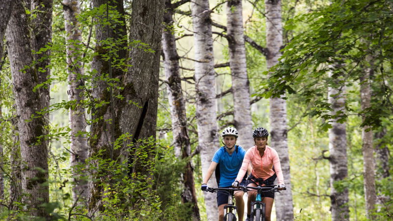 Björkvallen Mountainbikeled