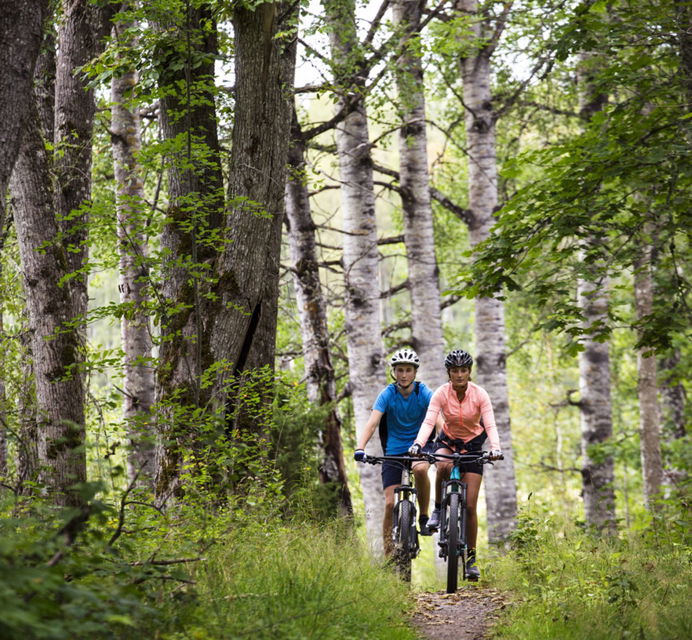 Cyklister längs Björkvallen Mountainbikeled i Kristinehamn