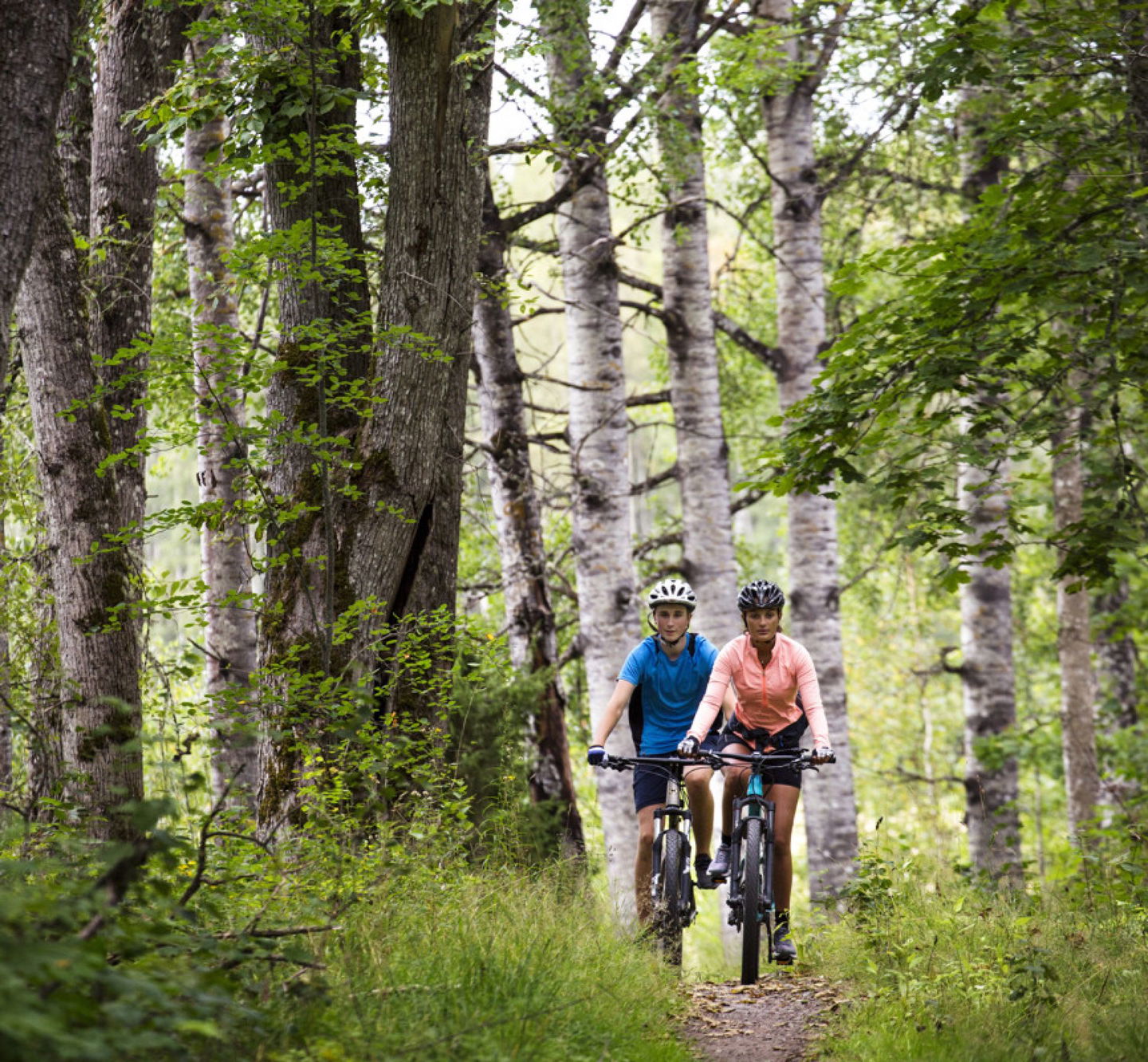 Cyklister längs Björkvallen Mountainbikeled i Kristinehamn