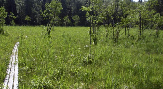 Lejakärret, Naturreservat