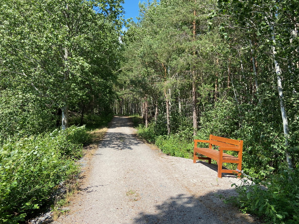 Tillgänglig stig, rödbrun träbänk på sidan. Lummig grönska på varje sida.