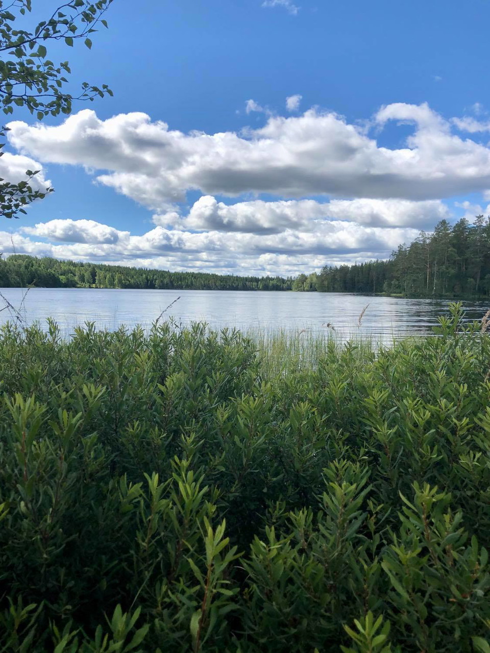 Vy över sjön Jälken.