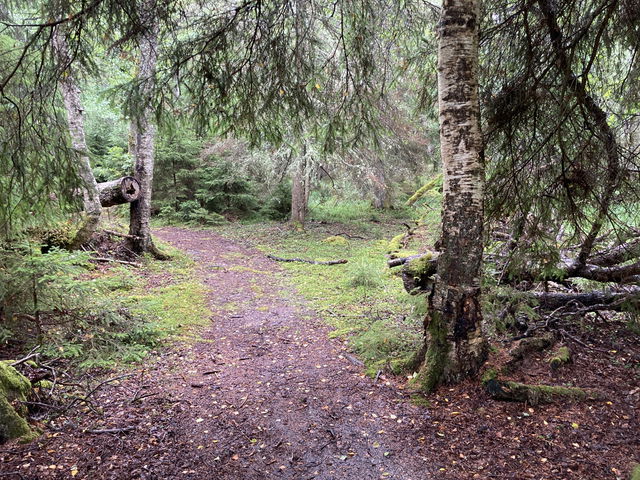 Vandringsstig, Biskopsö