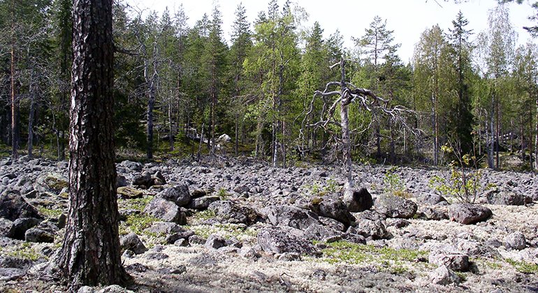 Klapperstensfält. Foto Länsstyrelsen Norrbotten