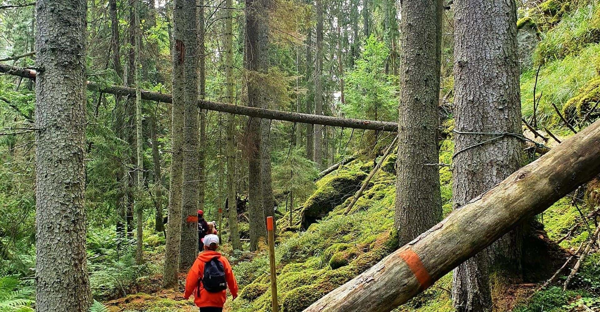 Barn vandrar på stig
Rundslinga Seloberg och Skams gator 
Ydre