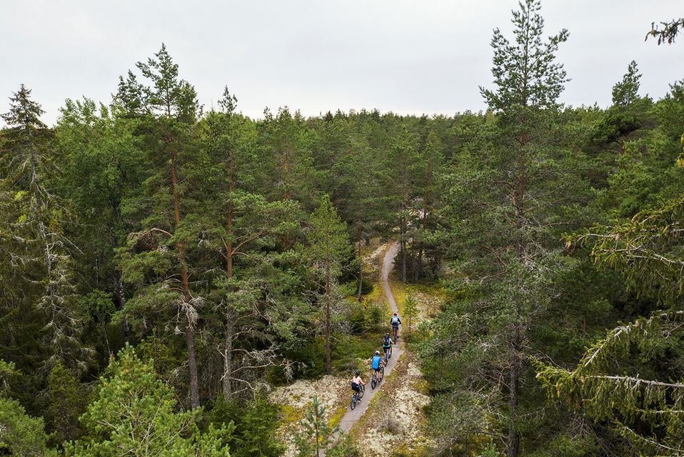 MTB-cykling i skogen