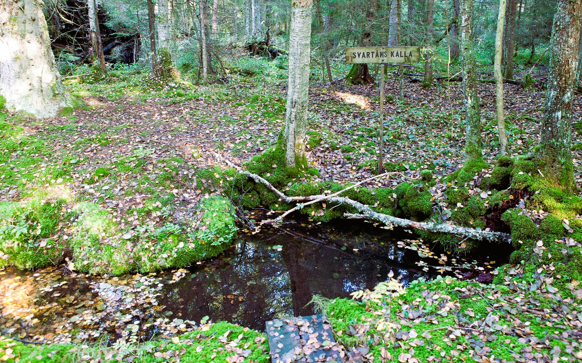 Höglandsleden etapp HÖ16 Lövhult - Ränneborg - En del av Smålandsleden