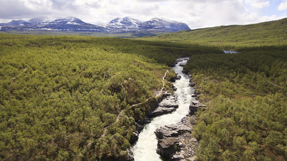 Abiskojåkka med Abiskoalperna i bakgrunden.