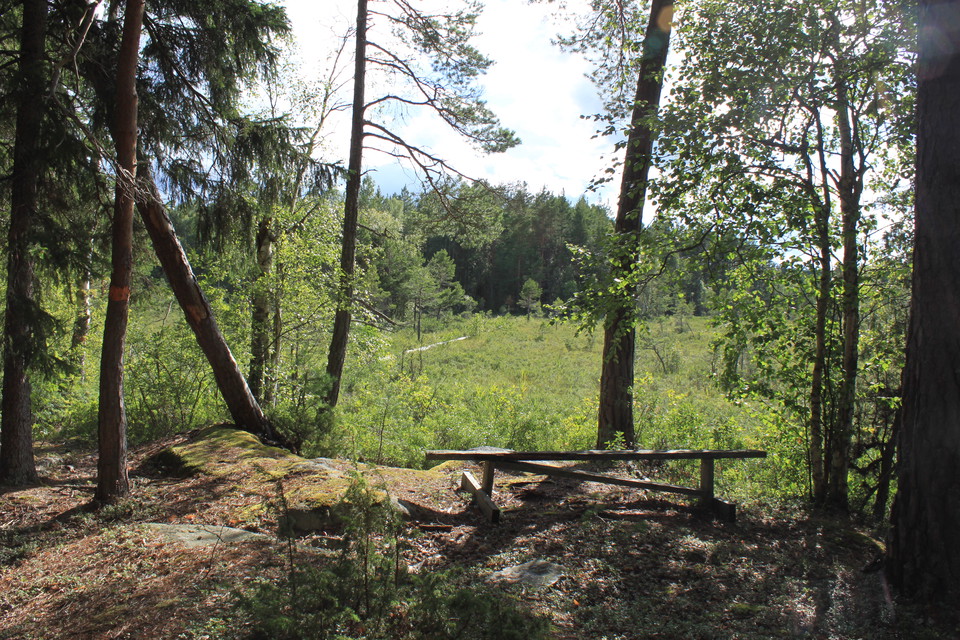 I en liten glänta i skogen står en sittbänk. Härifrån har man utsikt över en spång som löper över myrmarken.