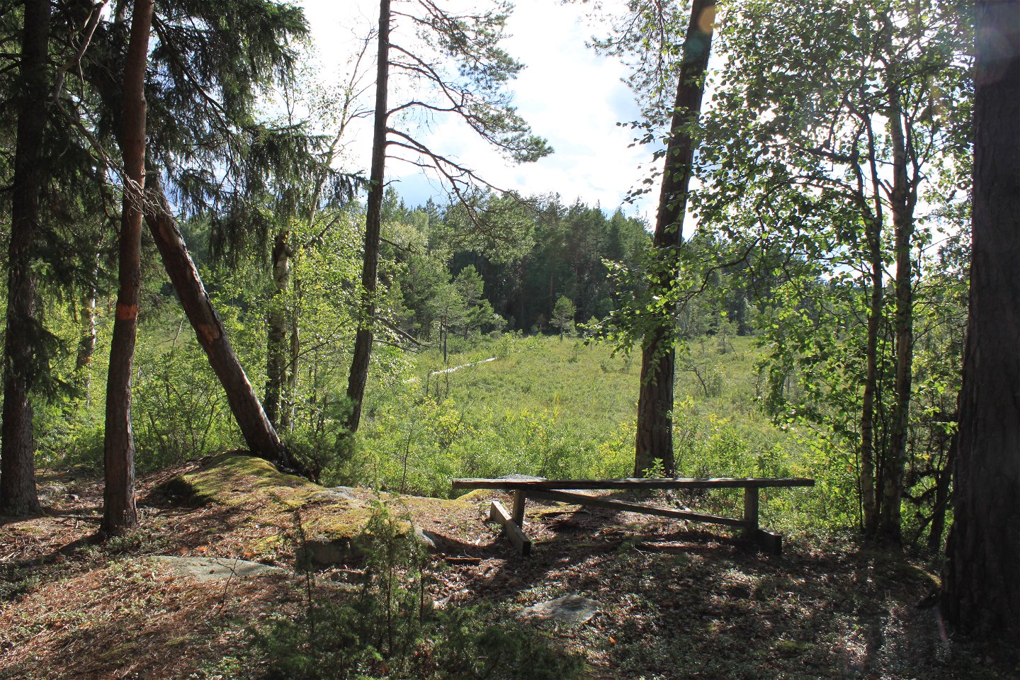 I en liten glänta i skogen står en sittbänk. Härifrån har man utsikt över en spång som löper över myrmarken.