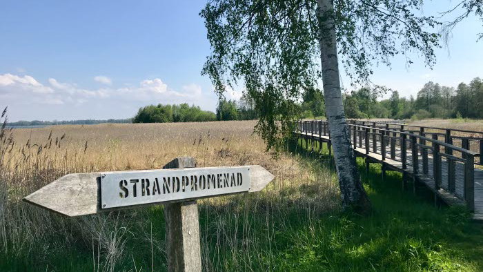 Strandnära promenadutflykt