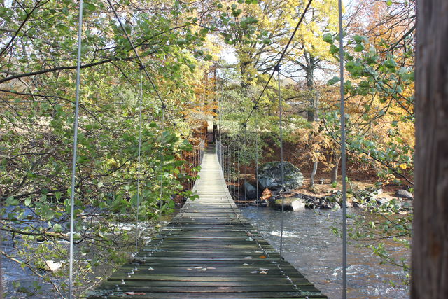 Hängbro Mörrumsån, Forsbacka