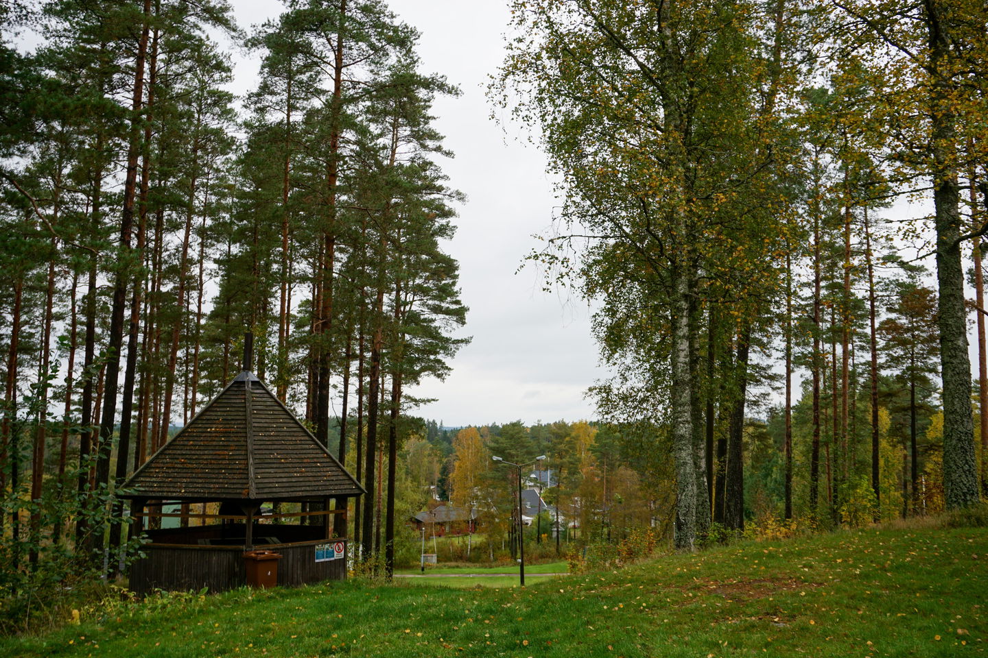 Foto: Johan Svedberg
