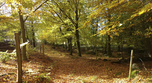 Mannarp, Naturreservat
