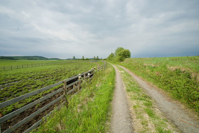 Brånsjön, vandringsled