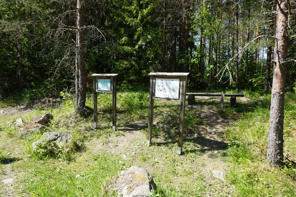 Två informationstavlor om Fjärilsvägen och en sittbänk i bakgrunden i skogen