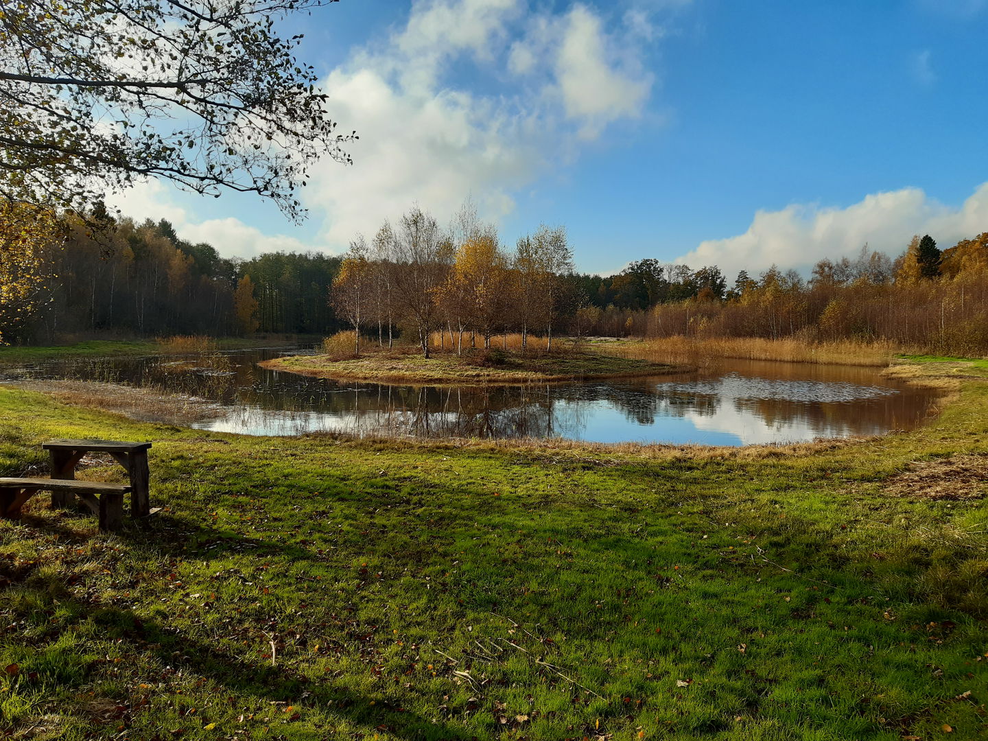 Våtmark Nyttorp