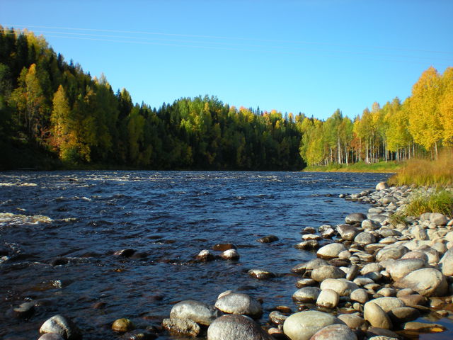 Hummelholm