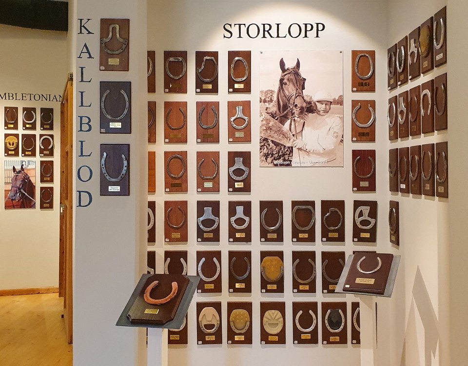 Nordiska Travmuseet