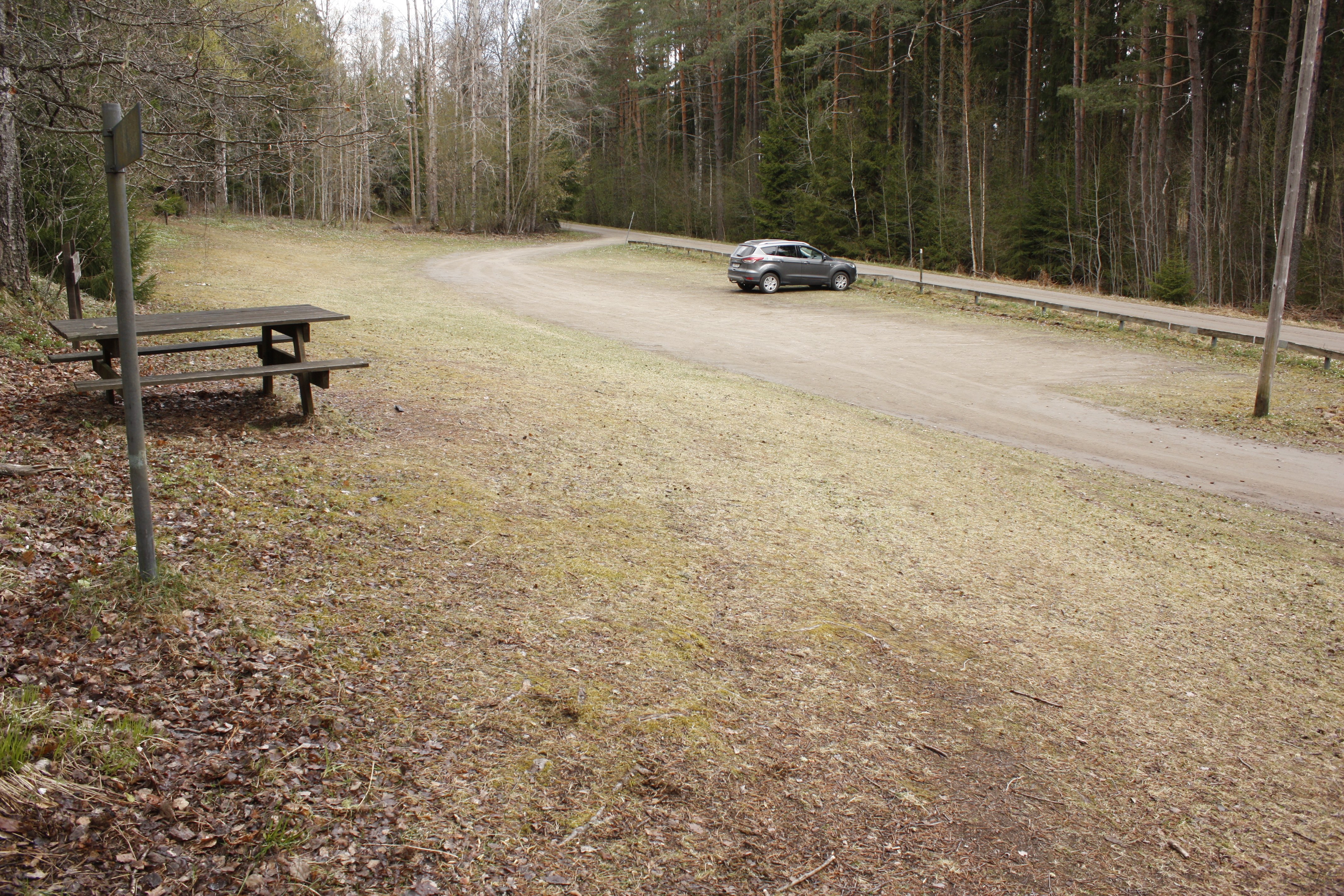 En bil står på en avlång parkeringsplats vid en mindre bilväg. På andra sidan vägen är det skog.