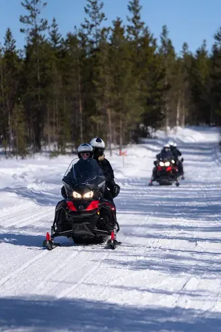 Lakioja - Sonkamuotka T4