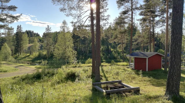 Österåsens camping