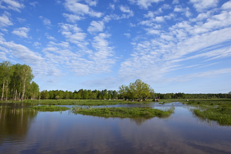 Oset Rysunek Oset och Rynningeviken naturreservat — Naturkartan